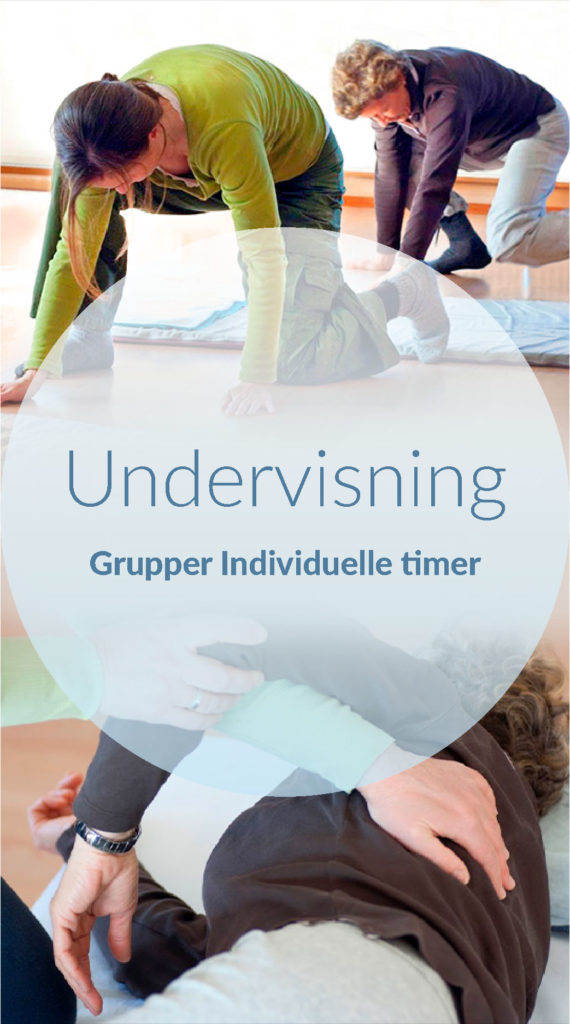 Undervisning